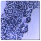 MTT Cell Proliferation, Viability and Toxicity Assay Kit (Cyto-M;  Part No. MTT-1200)